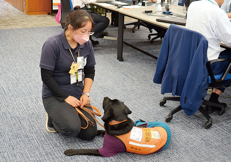 埼玉りそな銀行本店内で訓練を行う聴導犬と日本聴導犬推進協会の水越氏＝16日午後、さいたま市浦和区の埼玉りそな銀行本店