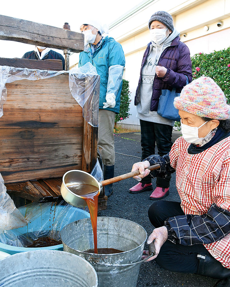 昔ながらの圧搾器でしょうゆを搾るサークルのメンバーら＝10日、毛呂山町大類の町歴史民俗資料館