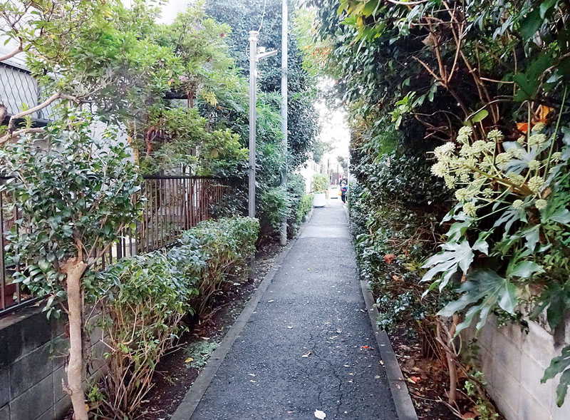 ちょうど人１人通れる幅の道が続く岸町緑道