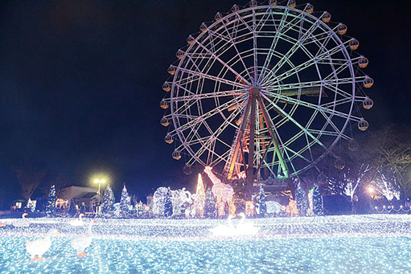 イルミネーションは県内最大規模の東武動物公園、カップルや家族連れに人気だ