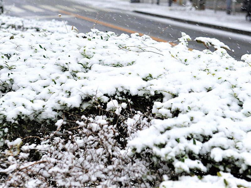 【ちなみ】雪１＝冬、自然イメージ