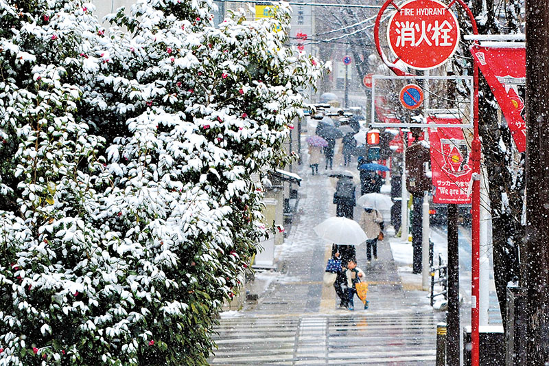 雪が降る中、街を歩く人々＝10日午前11時55分ごろ、さいたま市浦和区の県庁通り