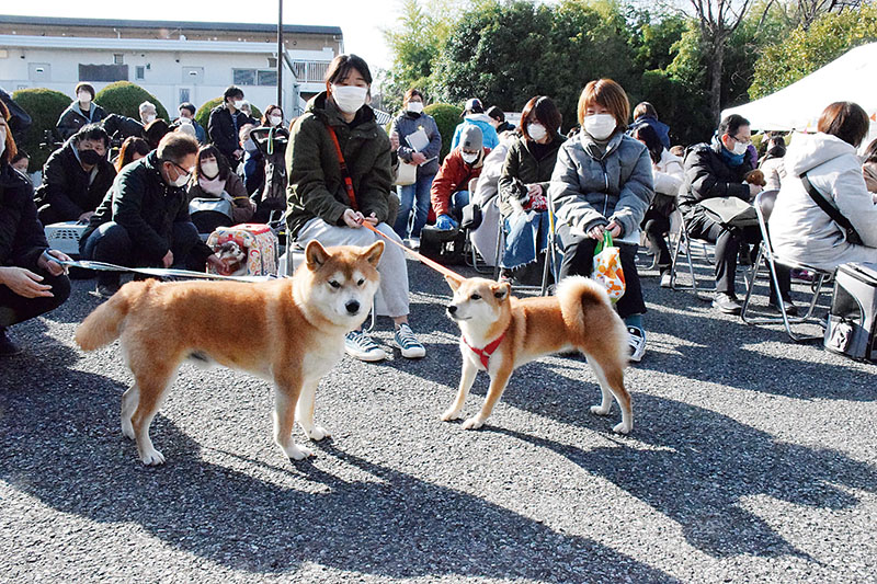 初めて開催されたペット同行避難訓練＝戸田市新曽福祉センター駐車場