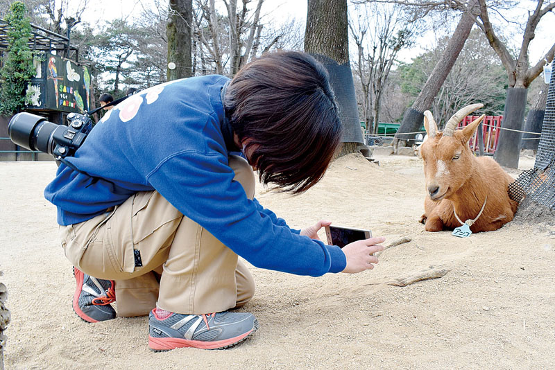 「画角いっぱいに動物を映して強調する」と工夫してSNS用の写真を撮る広報担当＝2日、東松山市の県こども動物自然公園