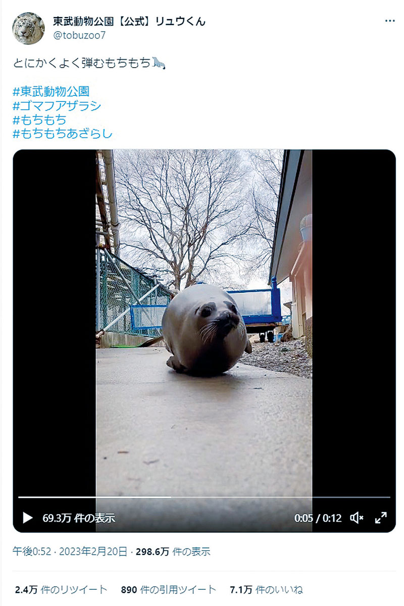 ゴマフアザラシ「もちもち」の動画がバズった東武動物公園の公式ツイッター