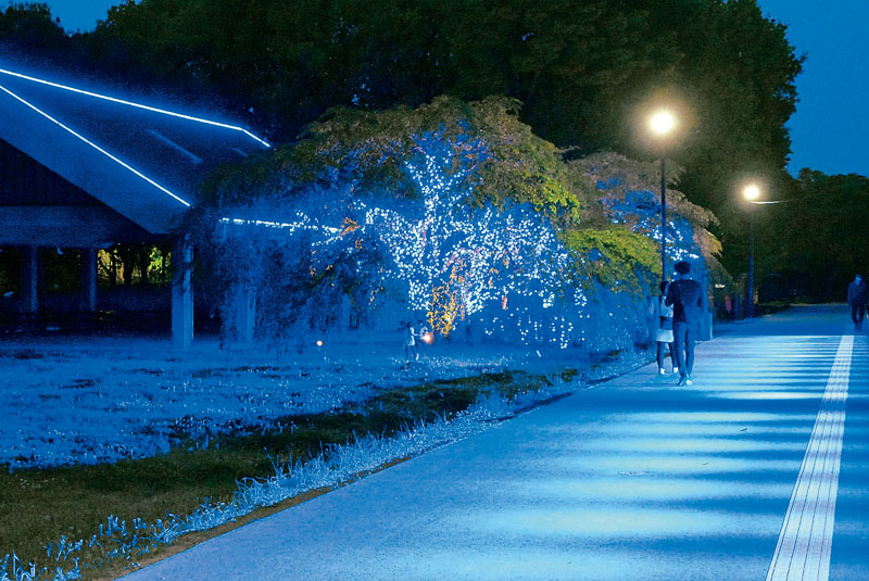 青い光で彩られたライトアッププロジェクト＝熊谷市上川上の熊谷スポーツ文化公園