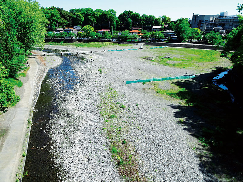 バーベキューなどでの火気の使用を有料とする区域を設ける飯能河原＝27日午前、埼玉県飯能市