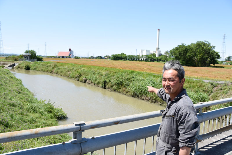 飯盛川近くにある収穫間際の小麦畑を指さす原伸一社長。ここで耕作する畑の3分の2が調節池となって消滅する見通しだ＝5月24日、埼玉県坂戸市赤尾付近