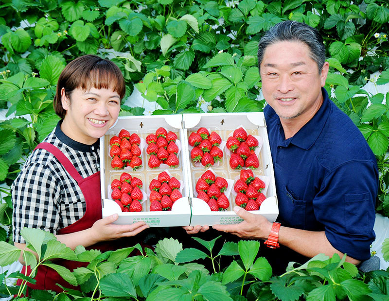 自慢のイチゴをアピールする高野宏昭さん（右）と妻奈美子さん