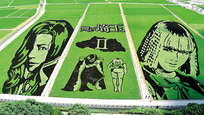 GACKTさん、二階堂ふみさんが演じる麻実麗、壇ノ浦百美を描いた田んぼアート＝22日午後0時55分ごろ、埼玉県行田市小針の「古代蓮の里」東側の水田