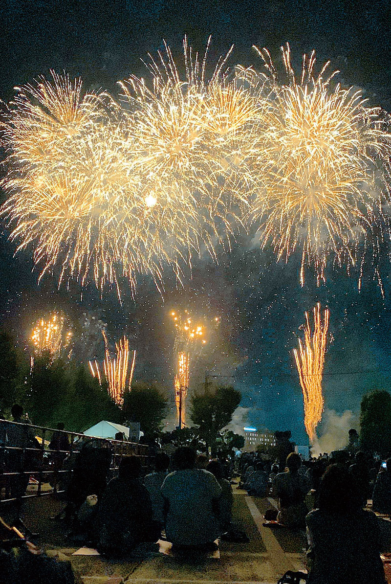 打ち上げられた花火＝7月30日夜、さいたま市大宮区寿能町の大和田公園