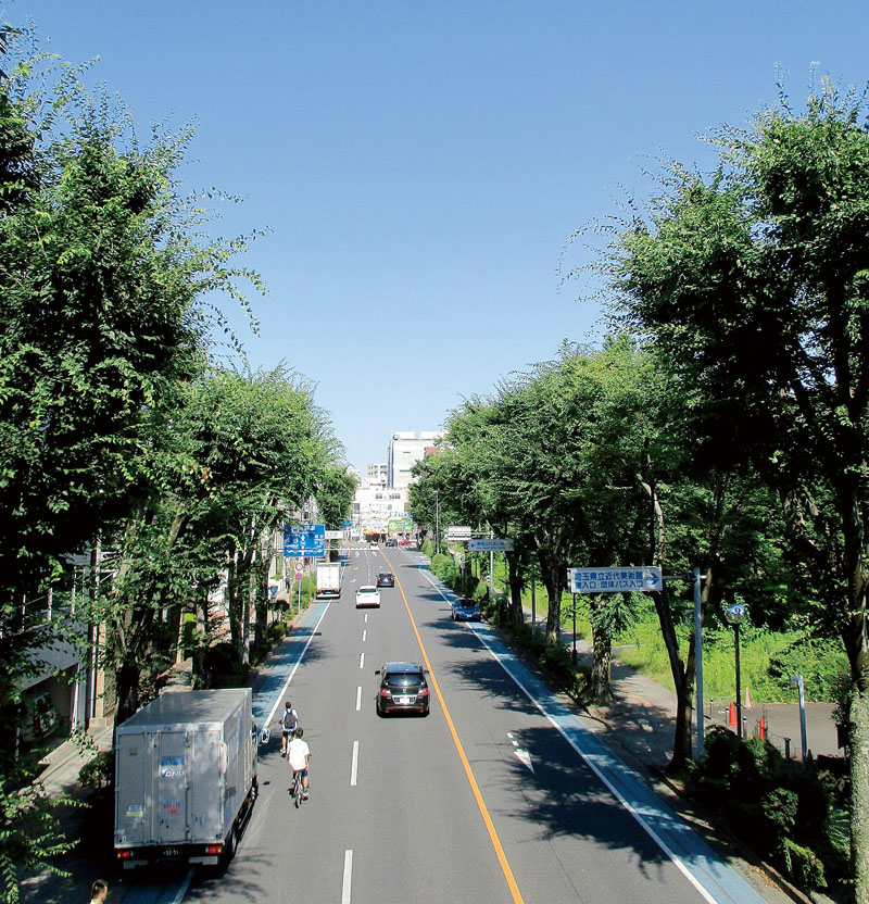 北浦和駅西口が始点の「日本一長いけやき並木」。どこか南国や海外の雰囲気も漂う