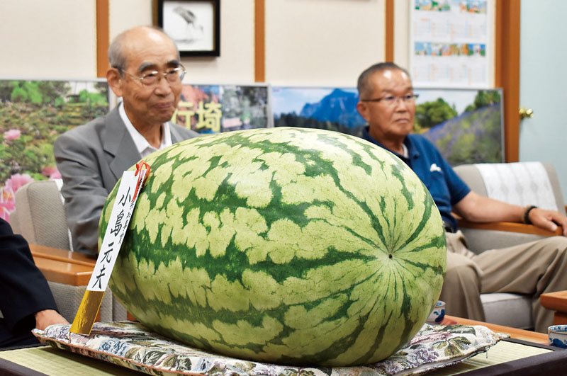 知事賞を受賞したジャンボスイカと栽培した小島元夫さん（左）＝21日午後、埼玉県庁