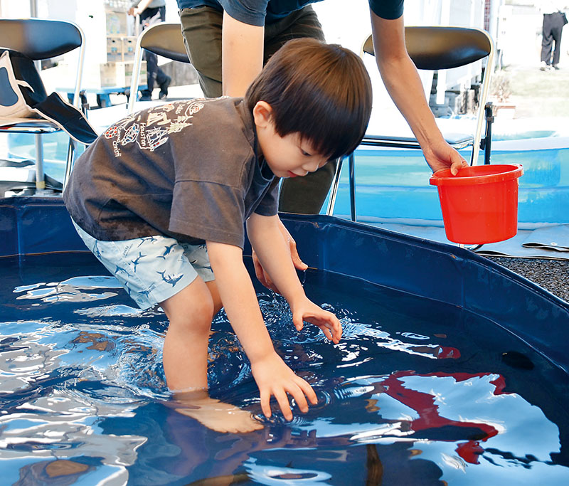 アユのつかみ捕りをする子ども＝埼玉県加須市志多見のむさしの村