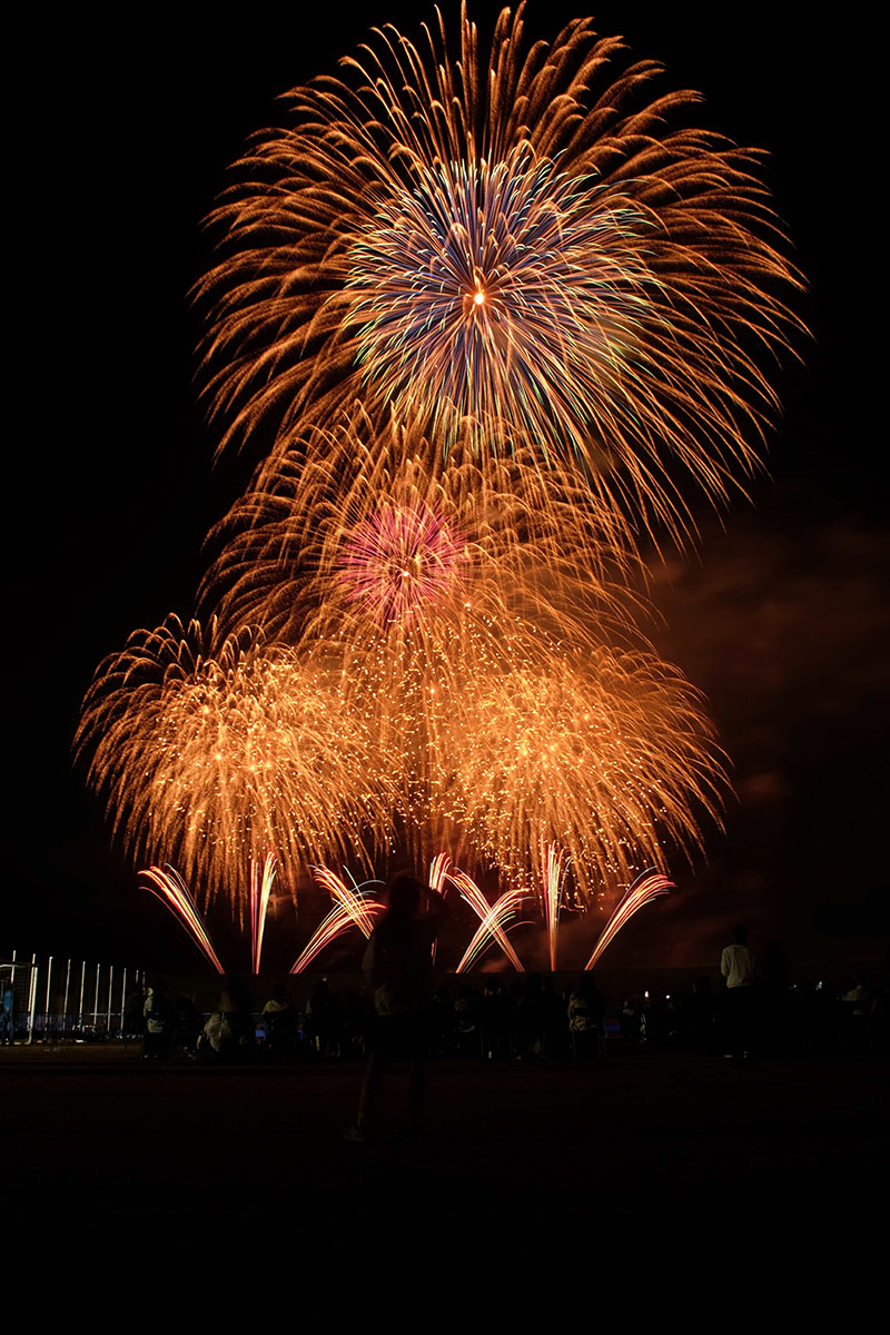さいたま市の夜空を彩った1万発の花火＝14日夜、埼玉県さいたま市桜区の荒川総合運動公園