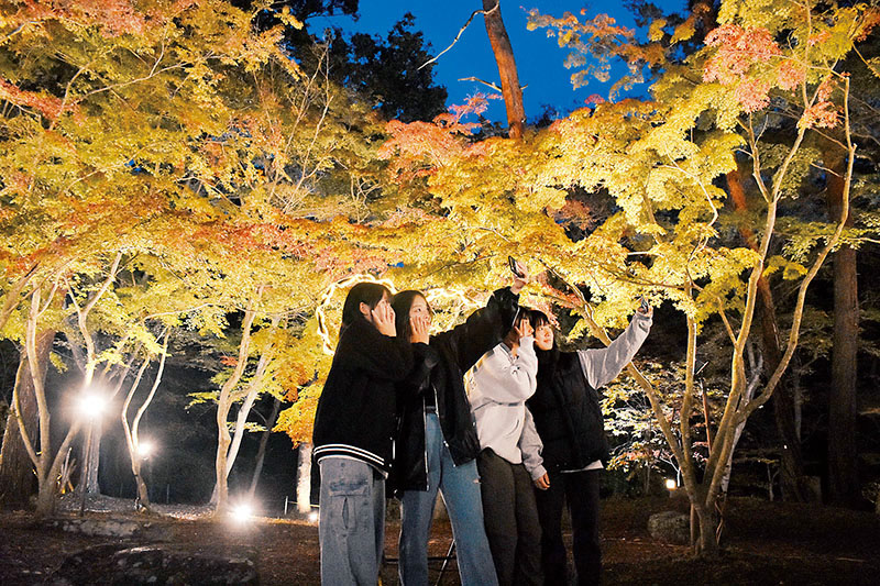 紅葉を照らす月の石もみじ公園のライトアップ＝10日午後5時ごろ、長瀞町長瀞