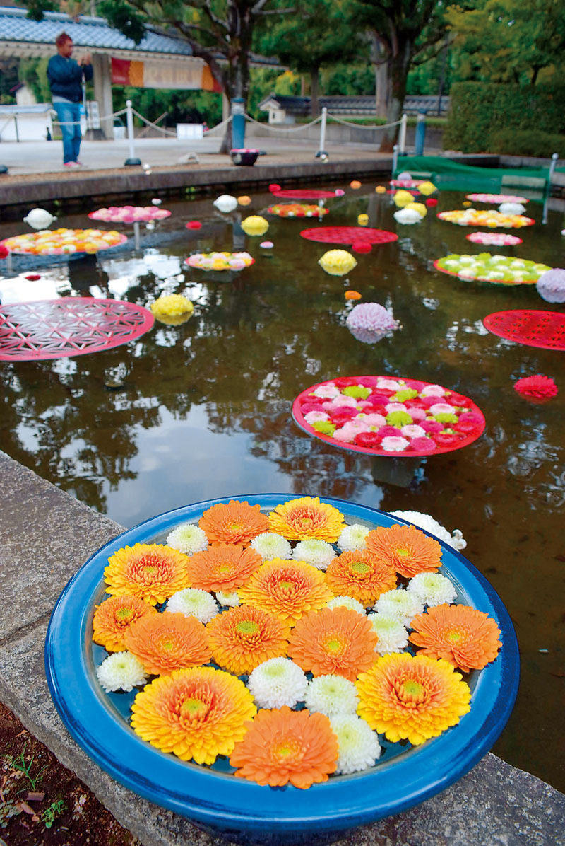 池を活用した大スケールの花手水「大水面花」＝15日午後、埼玉県行田市本丸の忍城址
