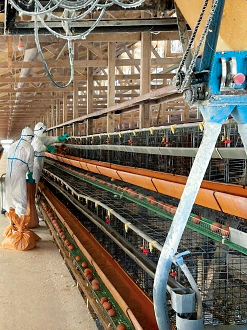防疫措置が取られた毛呂山町の採卵鶏農場（埼玉県提供）