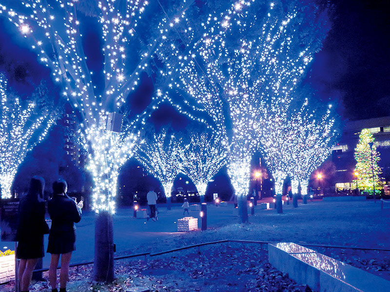 全長10メートル超のクリスマスツリーをイメージした装飾もあるイルミネーション＝11月29日午後、埼玉県三郷市中央