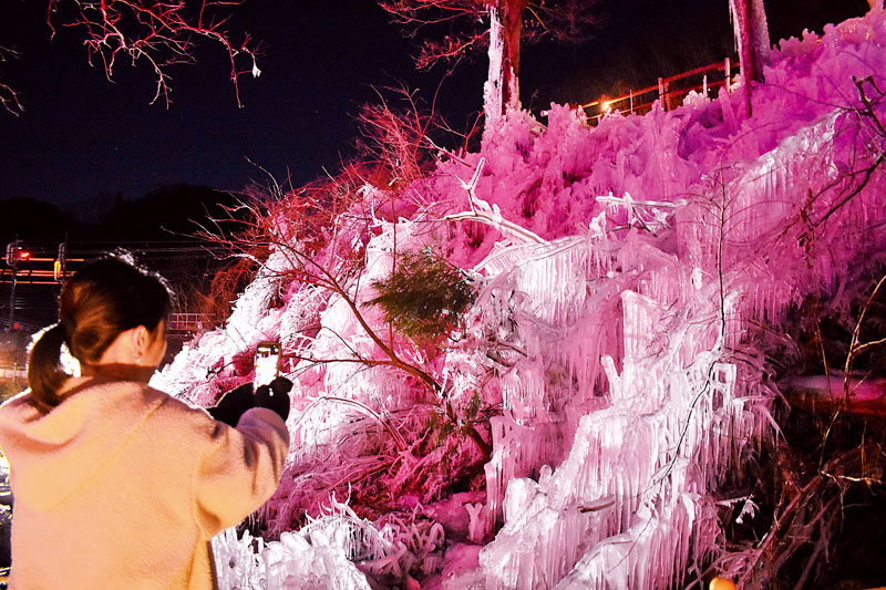 ライトに照らされ、神々しく輝くあしがくぼの氷柱＝12日午後6時ごろ、埼玉県横瀬町芦ケ久保