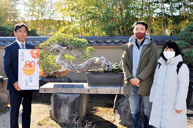 来館者80万人目の松本さん夫妻（右）。後ろの盆栽は五葉松の「青龍」＝埼玉県さいたま市大宮盆栽美術館（提供写真）
