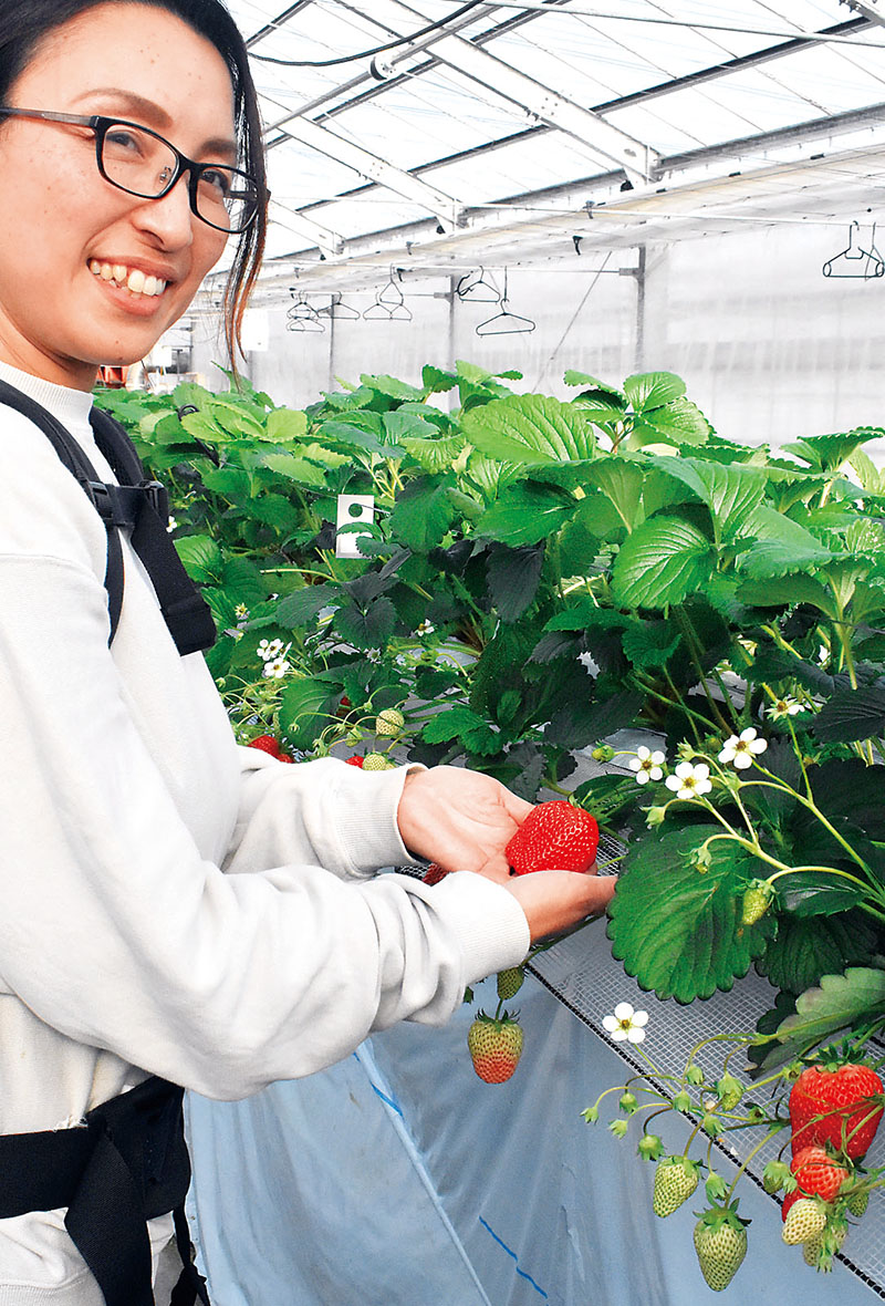 甘い香りが広がる内田農園＝19日、埼玉県秩父市寺尾