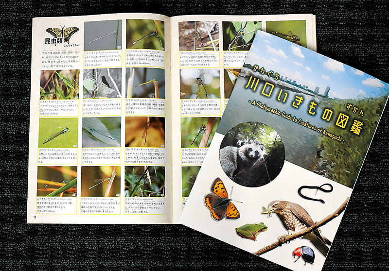 川口市内で生息が確認された鳥類や昆虫類などを写真と共に紹介する「川口いきもの図鑑」