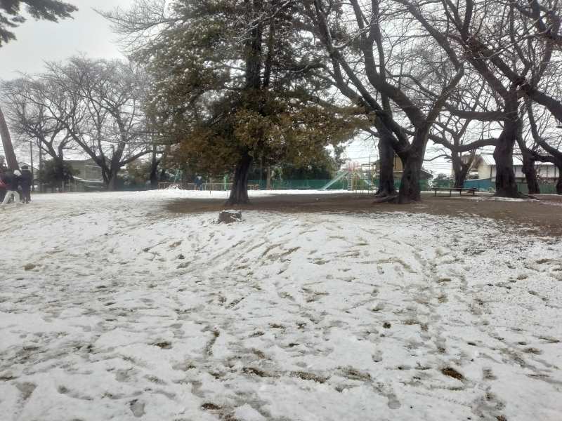 埼玉県さいたま市でも積雪＝3日午後4時15分、さいたま市北区