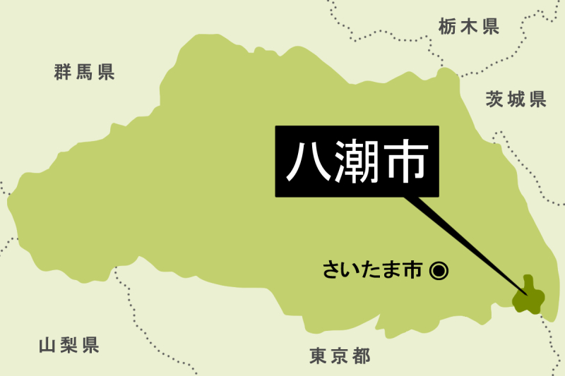 【地図】八潮市（背景薄緑）