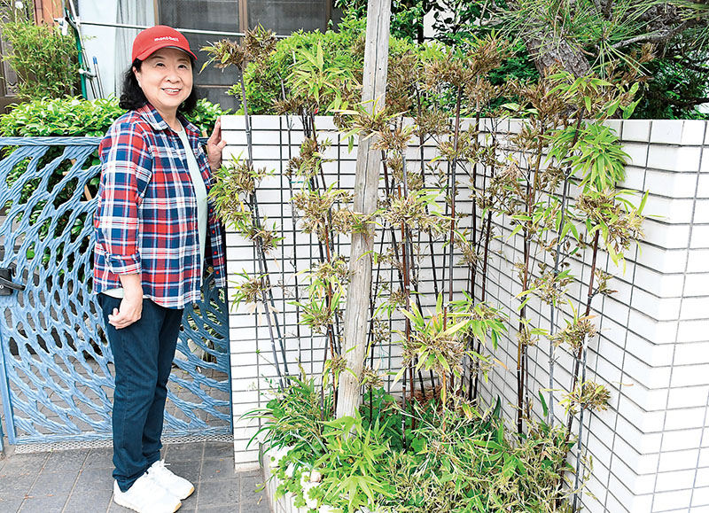 玄関先で一斉に開花した「クロチク」と加藤京子さん＝19日午後、川口市芝下