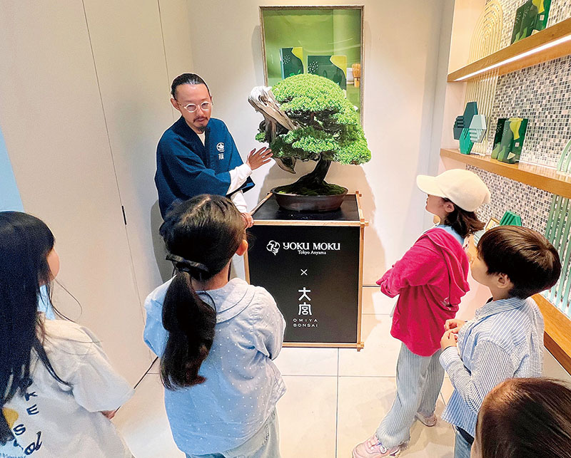 カフェに展示されている「真柏」を見学する子どもたち＝17日、東京都港区南青山のヨックモック青山本店