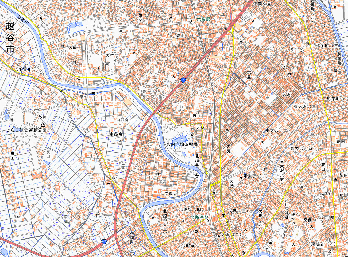 越谷市大林の周辺地図（国土地理院HPより）