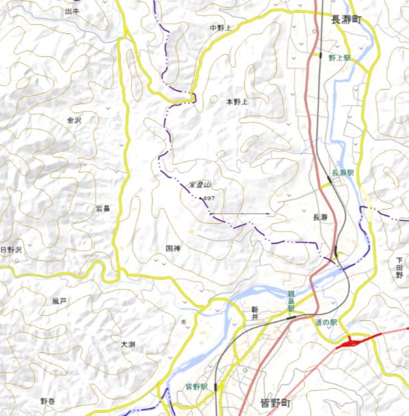 皆野町金沢の位置（地図の左上）＝国土地理院HPから