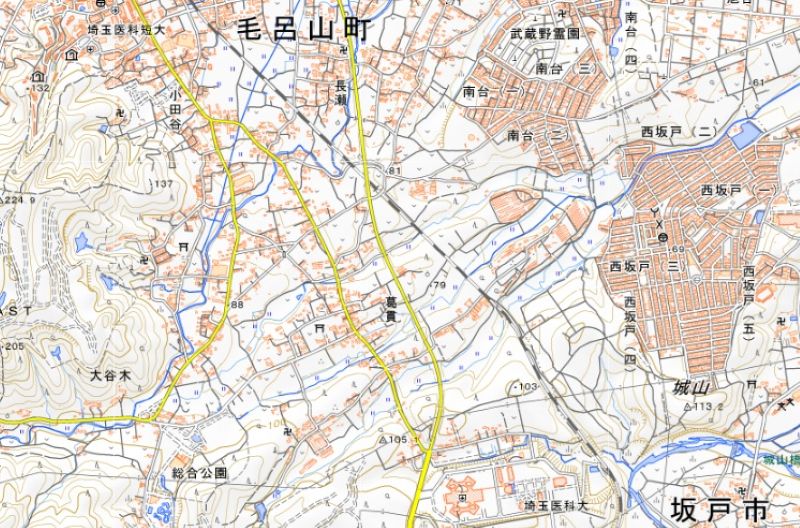 毛呂山町葛貫の位置（地図の中心付近）＝国土地理院HPから