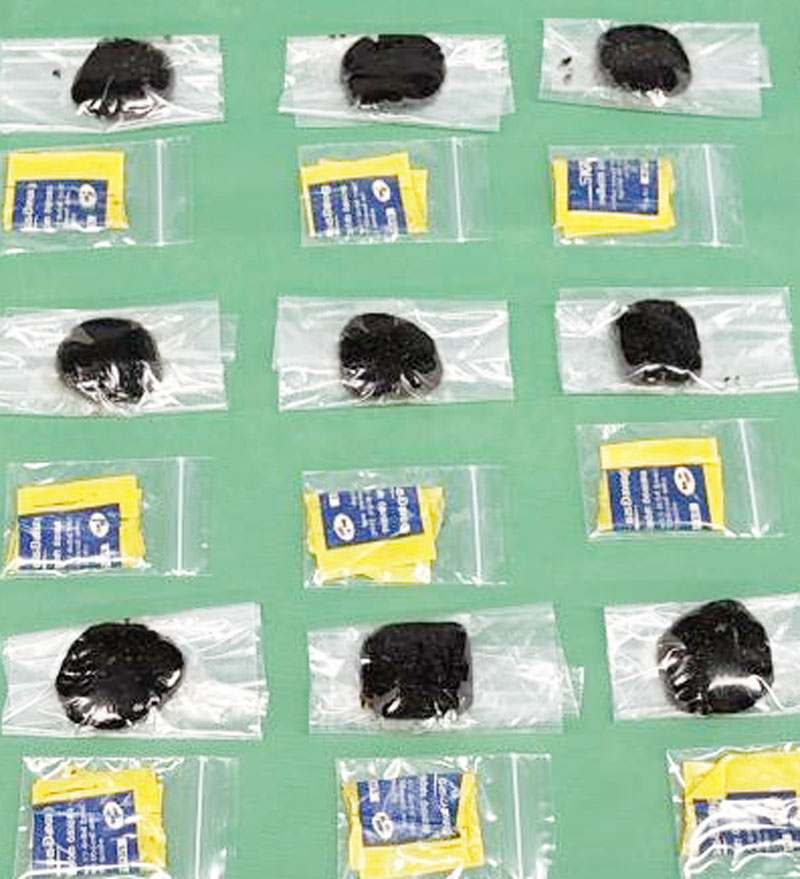 押収された大麻固形物（東京税関提供）