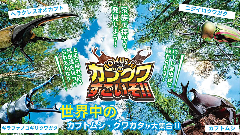 イベント「TOMUSHIのカブクワすごいぞ!!」