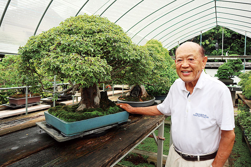 大阪・関西万博に出品するカエデの盆栽を紹介する芙蓉園の竹山浩園主＝12日、さいたま市北区の芙蓉園