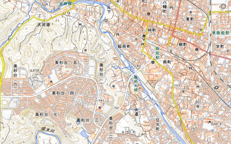 飯能市美杉台1丁目（地図の中央付近）＝国土地理院HPから