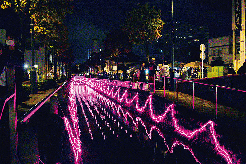 ピンク色のイルミネーションで美しく照らされた星川＝11日、熊谷市内