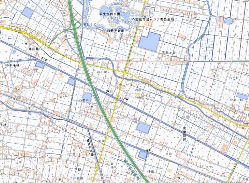 加須市戸川（地図の中央付近）＝国土地理院HPから