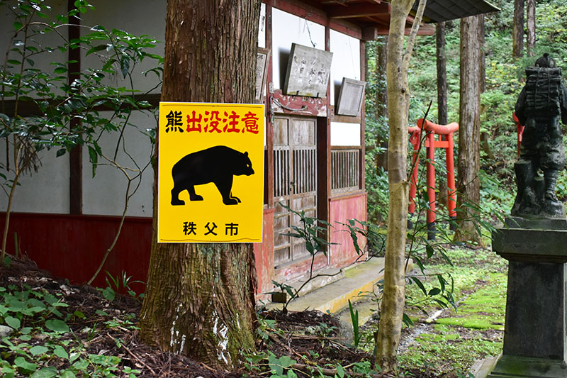 市職員がハイキングコース内に新たに設置したクマ出没注意の看板