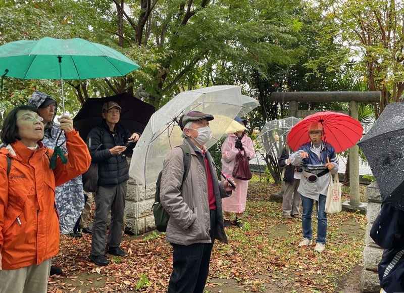 江戸時代に舟運で栄えた粕壁宿船着場付近の「碇山（いかりやま）」を散策する観察会参加者＝9日午後、春日部市粕壁東