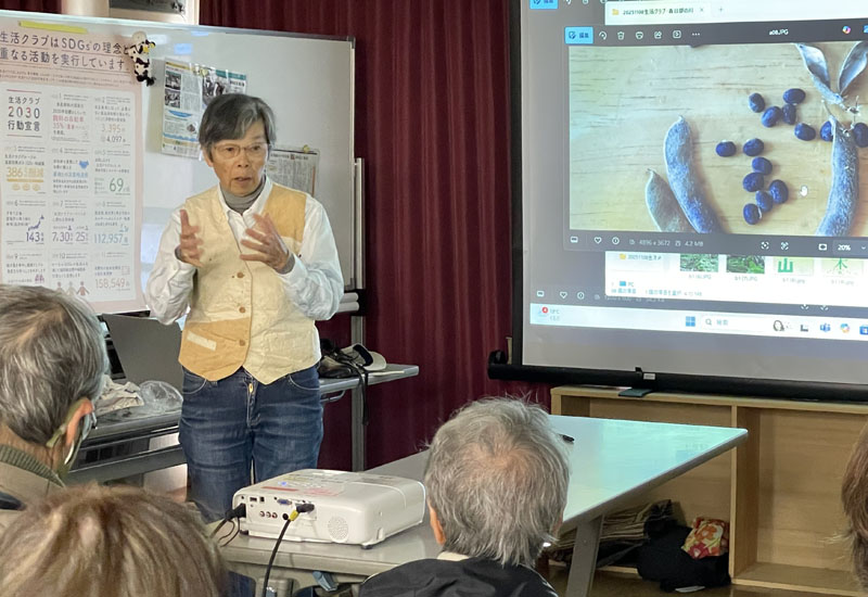 春日部市内に自生する大豆の原種「ツルマメ」を紹介する三好あき子さん＝9日午後、春日部市粕壁2丁目