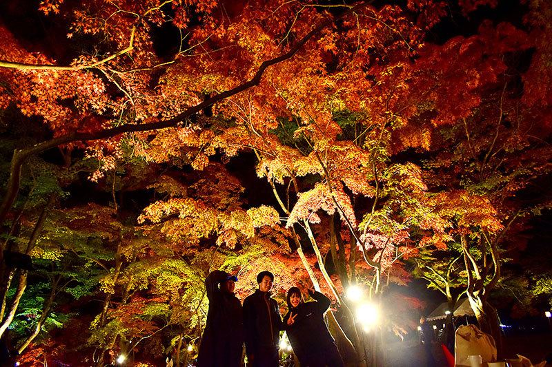 紅葉が映える月の石もみじ公園のライトアップ＝14日午後6時ごろ、長瀞町長瀞