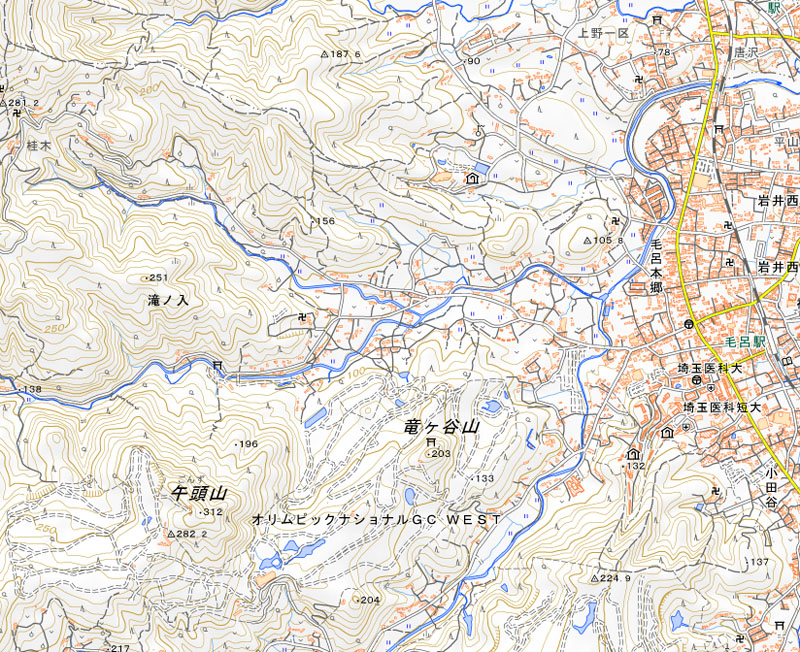 毛呂山町滝ノ入の周辺（国土地理院HPより）