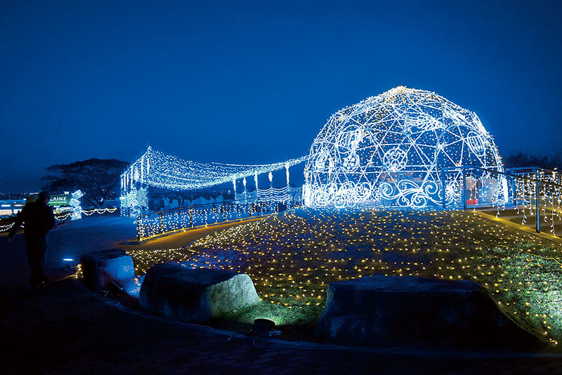 イルミネーションの試験点灯が行われたマリーゴールドの丘＝17日、本庄市早稲田の杜