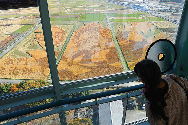 30日まで公開が延長されている田んぼアート