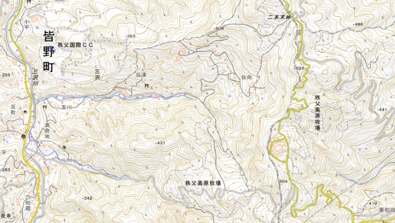 埼玉県皆野町三沢、県秩父高原牧場付近（国土地理院HPから）