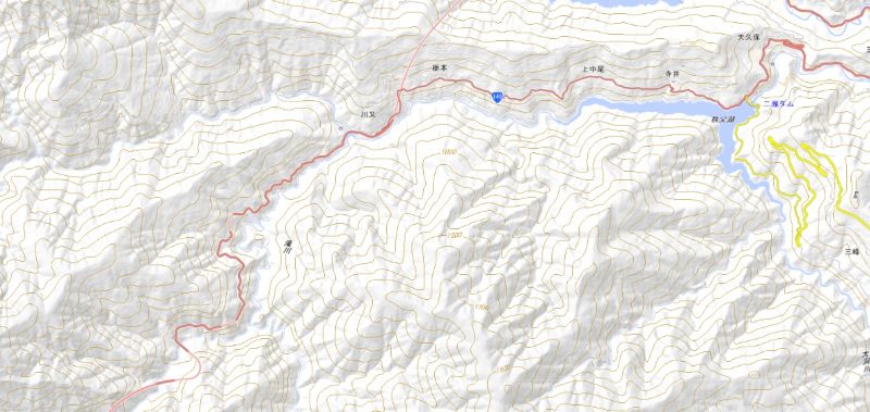 秩父市大滝の周辺（国土地理院HPから）