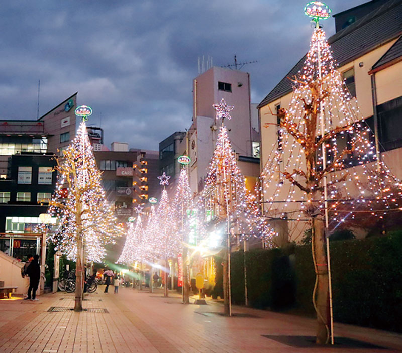 志木駅東口駅前広場の樹木のイルミネーション